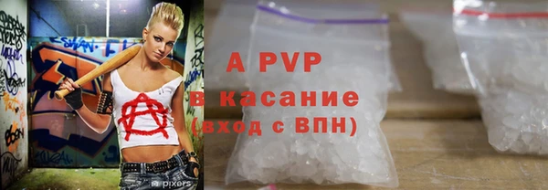 хмурый Сосновый Бор