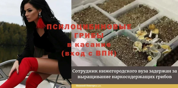 наркотики Богородицк