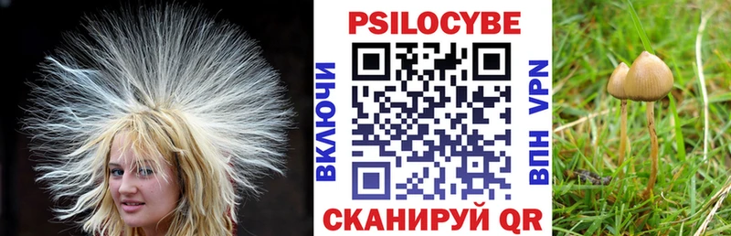 Галлюциногенные грибы Cubensis  Тотьма 